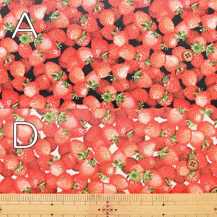Cotton Oxford Print Laminated Fabric (Matte) - Strawberry