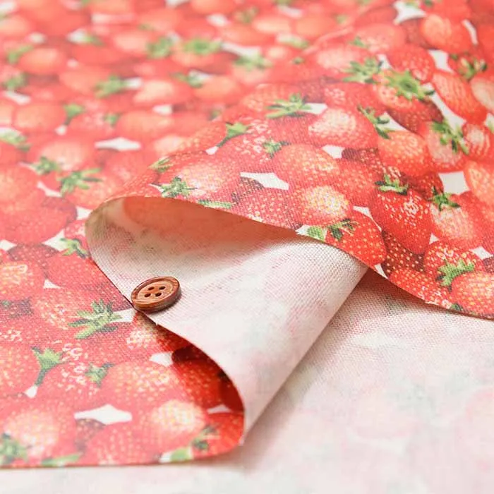 Cotton Oxford Print Laminated Fabric (Matte) - Strawberry