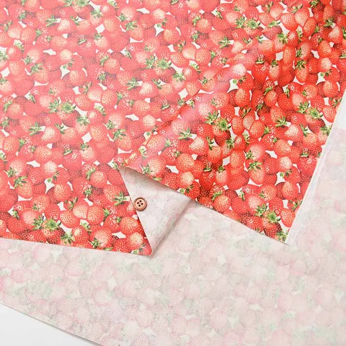 Cotton Oxford Print Laminated Fabric (Matte) - Strawberry