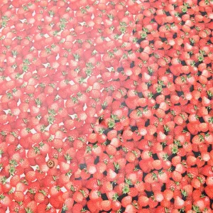 Cotton Oxford Print Laminated Fabric (Matte) - Strawberry