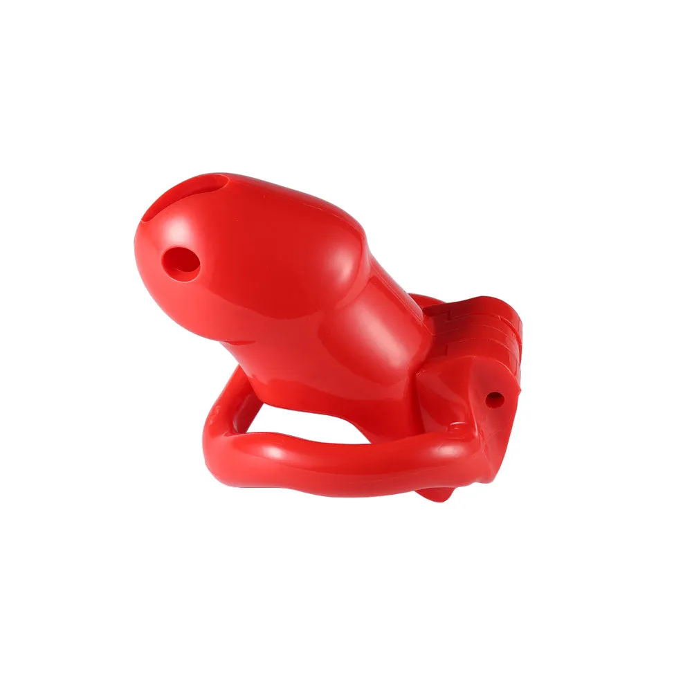 Holy Trainer V1