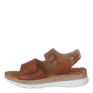 Maya Cognac