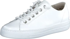 Paul Green 4081013- Trainer